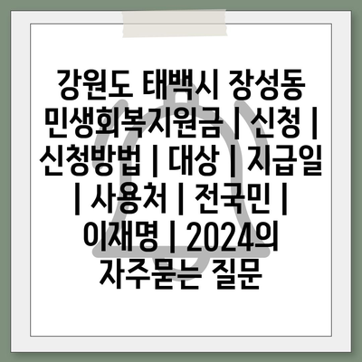 강원도 태백시 장성동 민생회복지원금 | 신청 | 신청방법 | 대상 | 지급일 | 사용처 | 전국민 | 이재명 | 2024