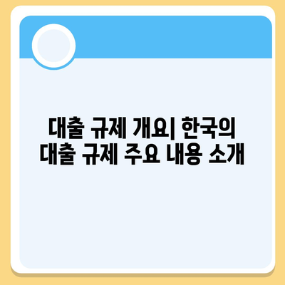 대출 규제