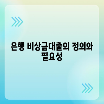 은행 비상금대출