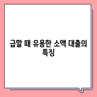 소액 대출의 장점과 주의 사항