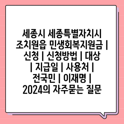 세종시 세종특별자치시 조치원읍 민생회복지원금 | 신청 | 신청방법 | 대상 | 지급일 | 사용처 | 전국민 | 이재명 | 2024