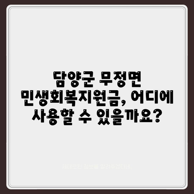 전라남도 담양군 무정면 민생회복지원금 | 신청 | 신청방법 | 대상 | 지급일 | 사용처 | 전국민 | 이재명 | 2024