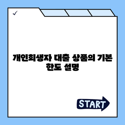 개인회생자 대출 상품의 한도 및 조건