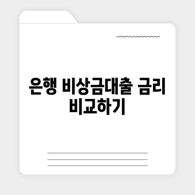 은행 비상금대출