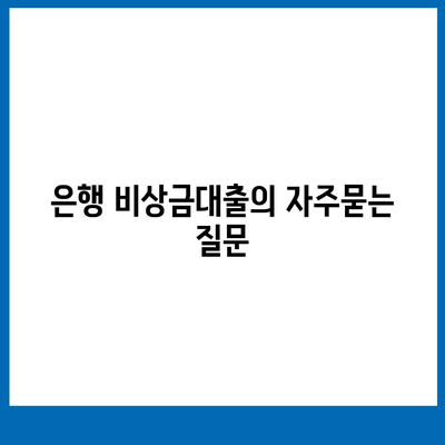 은행 비상금대출