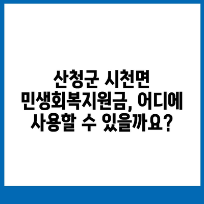 경상남도 산청군 시천면 민생회복지원금 | 신청 | 신청방법 | 대상 | 지급일 | 사용처 | 전국민 | 이재명 | 2024