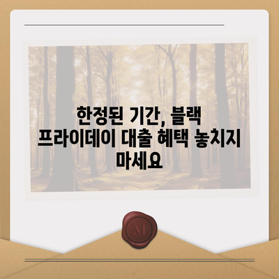 블랙 프라이데이 카카오뱅크 주택담보대출 비교,한도 추가 혜택 놓치지 마세요