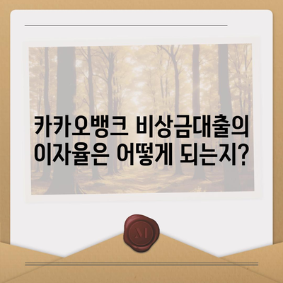 카카오뱅크 비상금대출,조건, 한도, 이자, 상환 안내