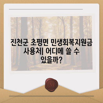 충청북도 진천군 초평면 민생회복지원금 | 신청 | 신청방법 | 대상 | 지급일 | 사용처 | 전국민 | 이재명 | 2024