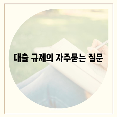 대출 규제