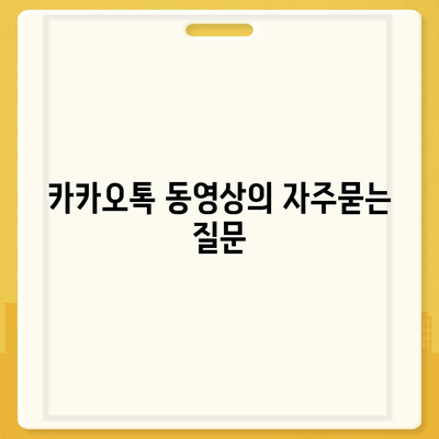 카카오톡 동영상