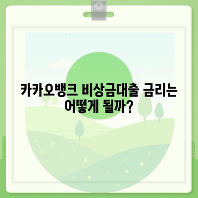 카카오뱅크 비상금대출 신청