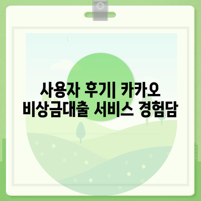 카카오 pc버전 비상금대출