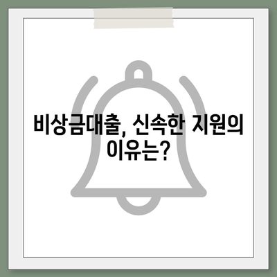 카카오뱅크 비상금대출 신청부터 알려드립니다