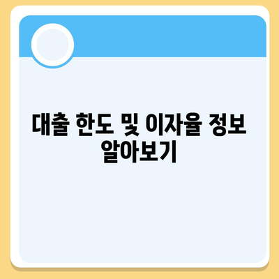 카카오뱅크 pc버전 비상금대출 후기