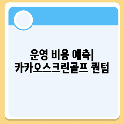 카카오스크린골프 퀀텀 창업 비용 분석