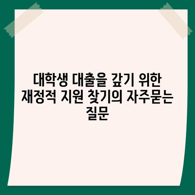 대학생 대출을 갚기 위한 재정적 지원 찾기