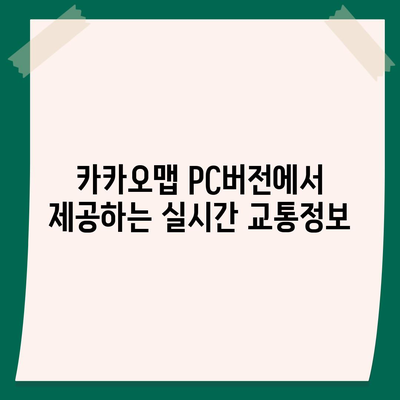 카카오맵 pc버전