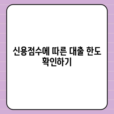 카카오뱅크 비상금대출 신용점수