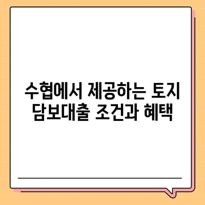 새마을금고, 수협, 농협, 신협의 토지 담보대출 요점 파악하기