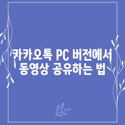 카카오톡 pc버전 동영상