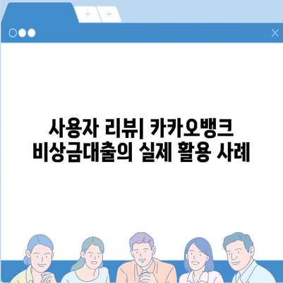 카카오뱅크 pc버전 비상금대출 후기