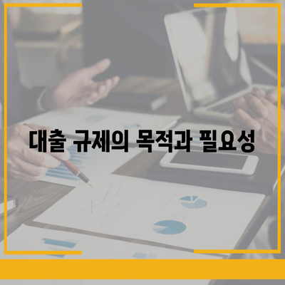 대출 규제