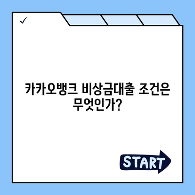 카카오뱅크 비상금대출 신청