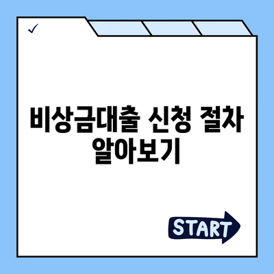 카카오뱅크 비상금대출 신청