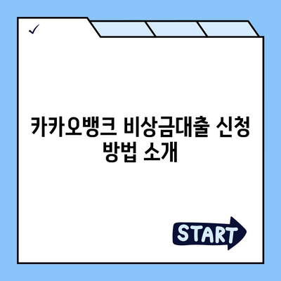 카카오뱅크 pc버전 비상금대출 pc버전 방법