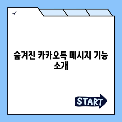 카카오톡 메시지