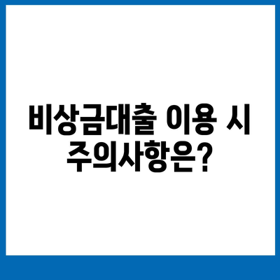 카카오뱅크 비상금대출 신청