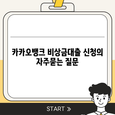 카카오뱅크 비상금대출 신청