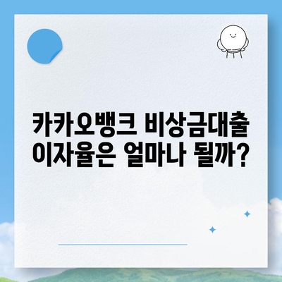 카카오뱅크 pc버전 비상금대출이자