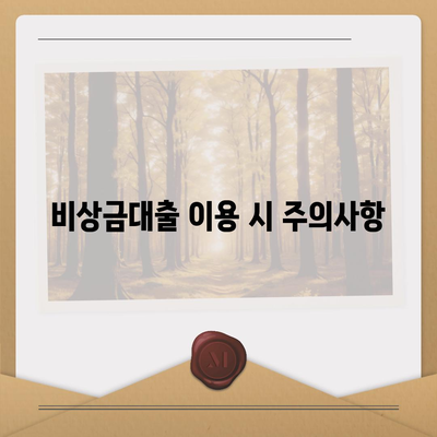 하나 비상금대출