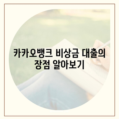 카카오뱅크 비상금 대출 신청법 전수